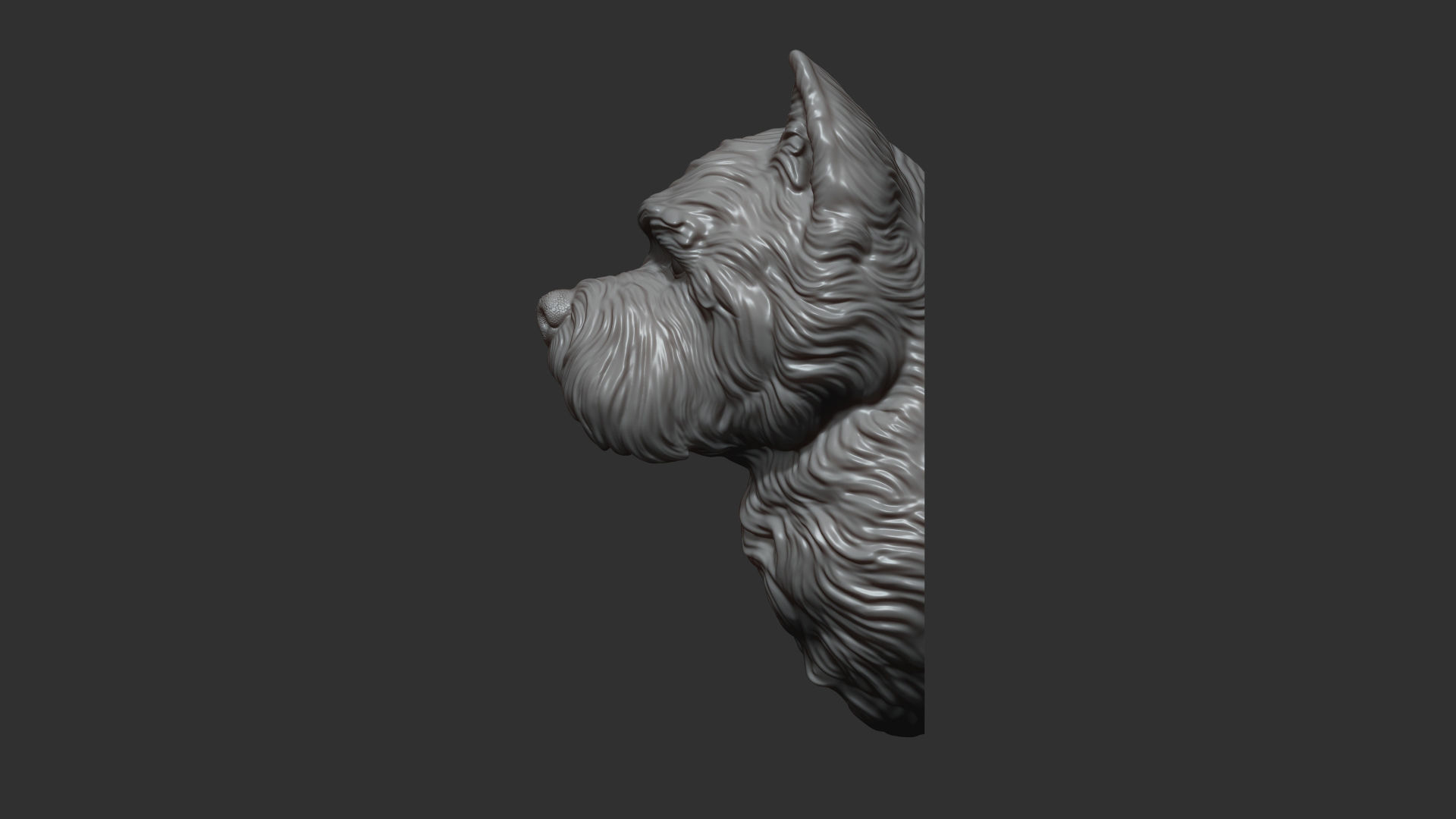 West Highland White Terrier bust 3D print model_4