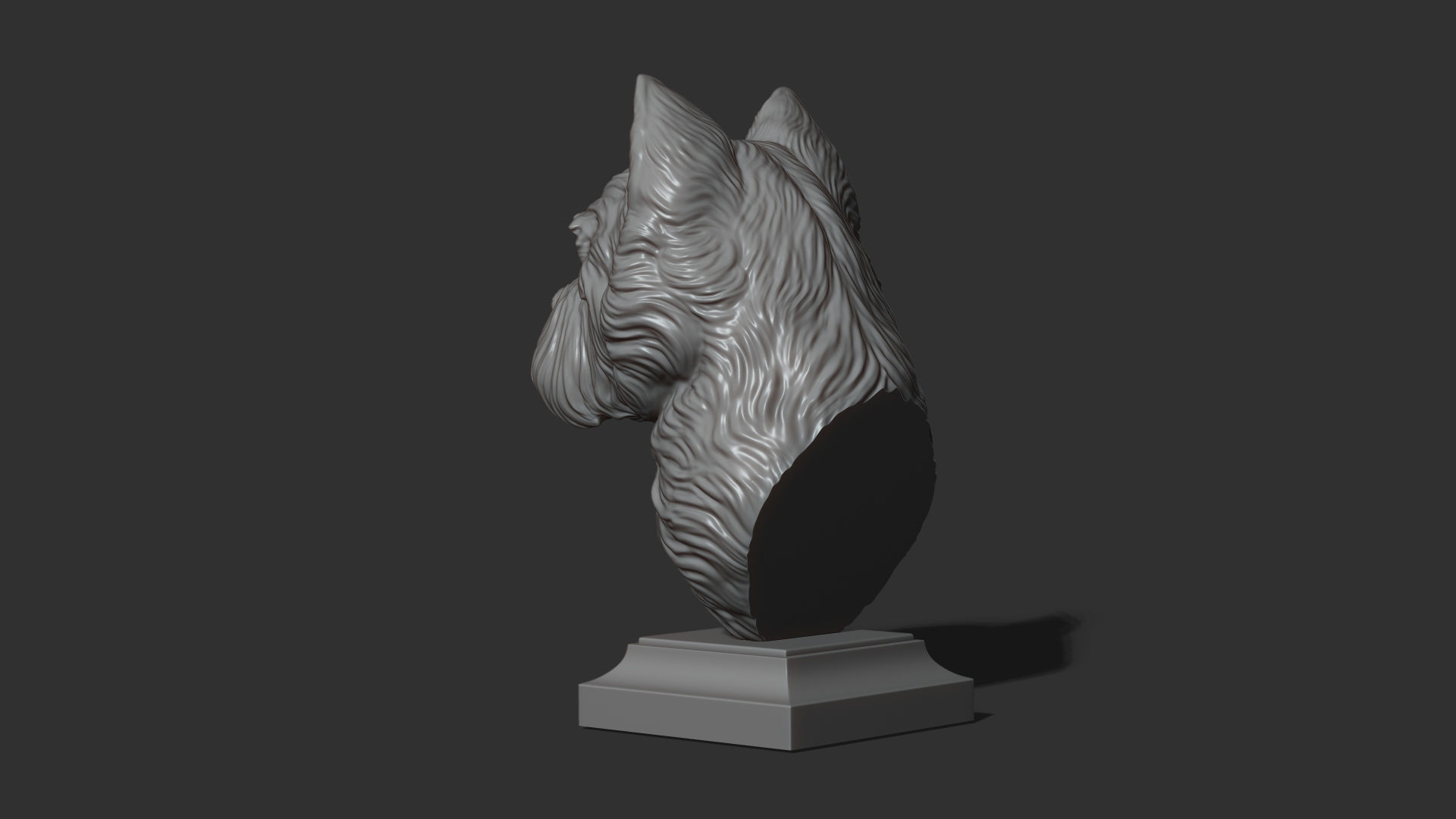 West Highland White Terrier bust 3D print model_16