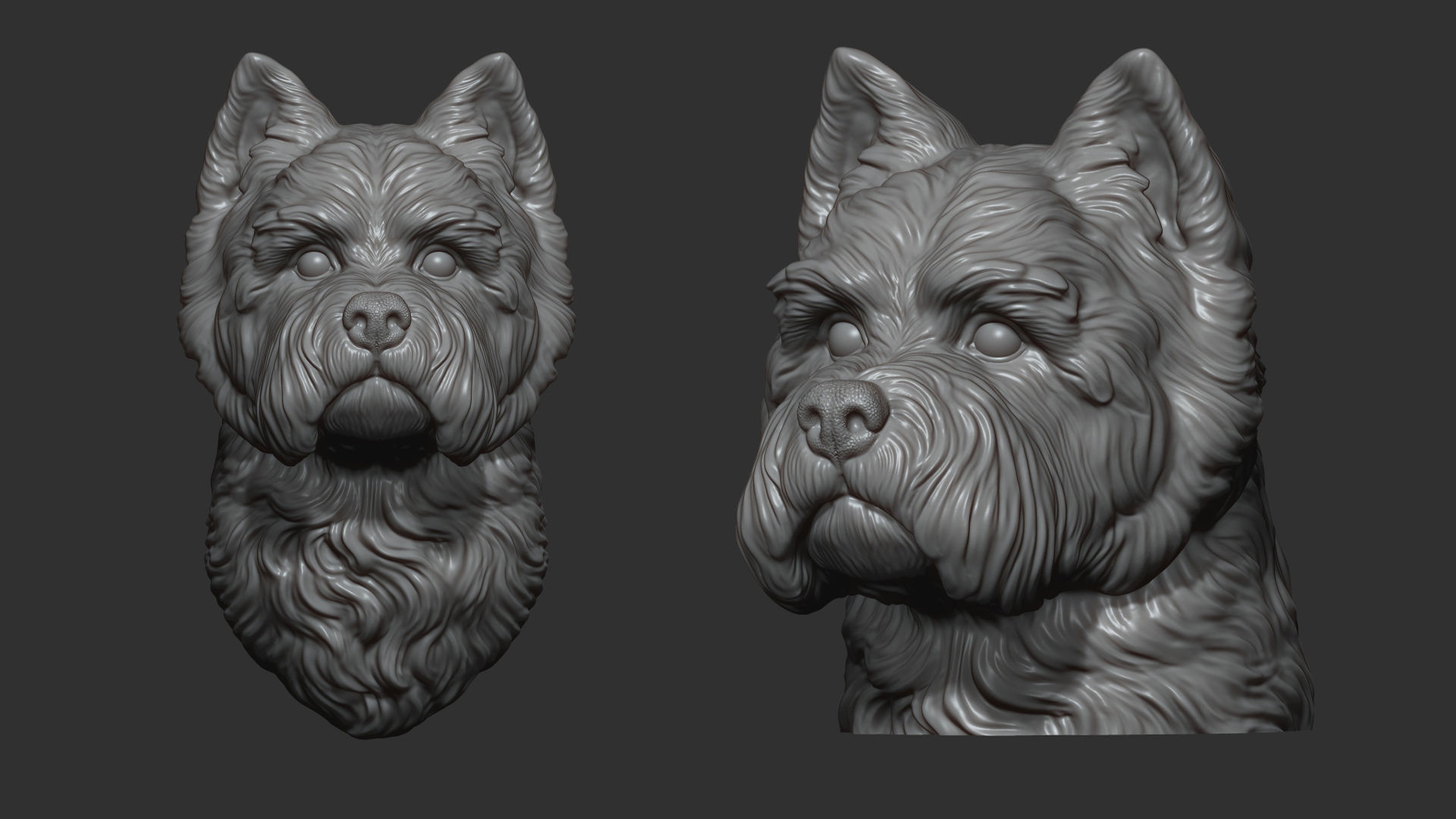 West Highland White Terrier bust 3D print model_1