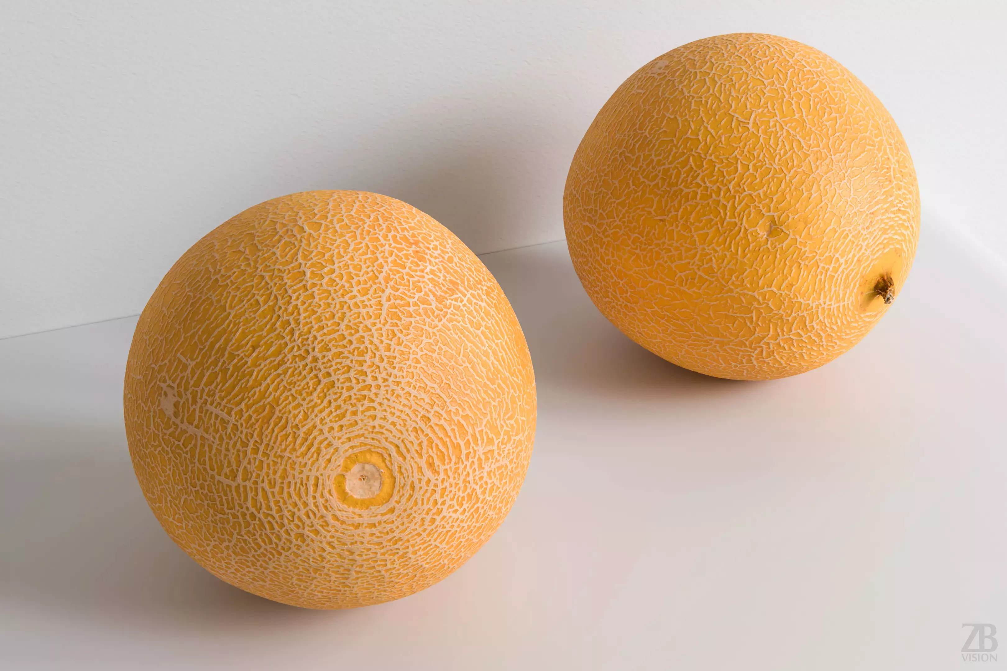 Melon 3D model