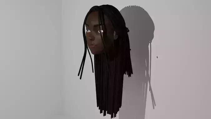 Black Pulled Back Braids 3D model