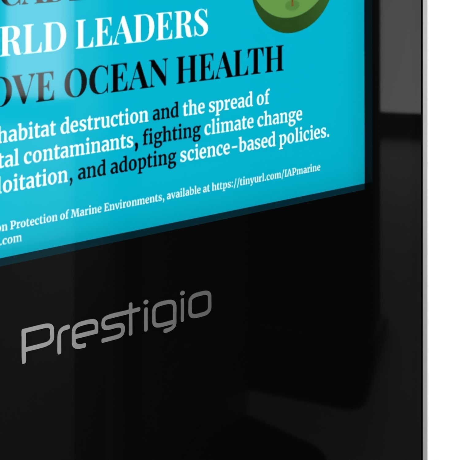 TOTEM INFORMATION SCREEN 3D model_1