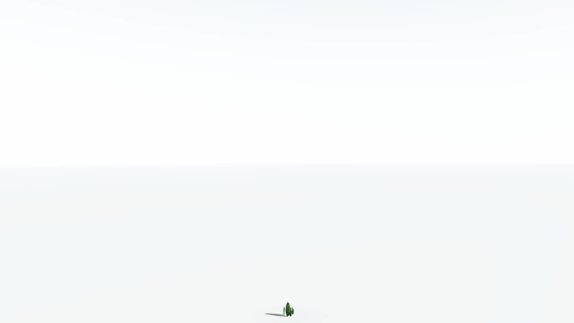 EVERYPlant Weeping Willow 4 --15 Models-- 3D model_27