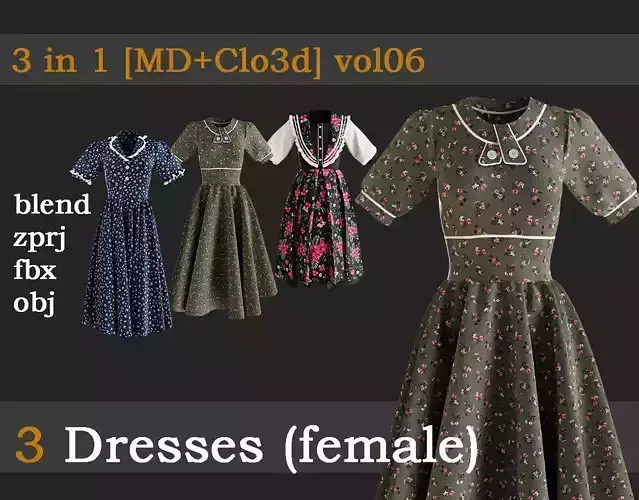3 Dresses for women vol06 3D model