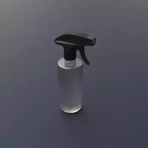 3D Model of the Spray