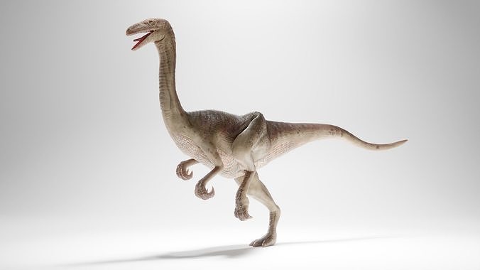 Gallimim - Gallimimus - Textured 3d Model Low-poly 3D model