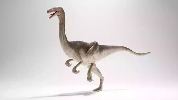 Gallimim - Gallimimus - Textured 3d Model Low-poly 3D model