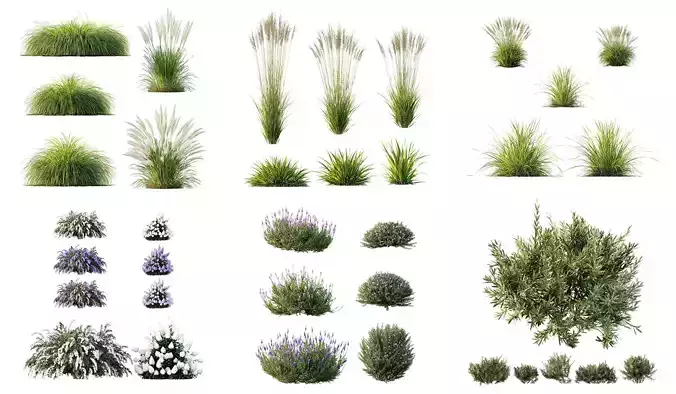 6 Different SETS of Plant Grass SET VOL132 3D Model Collection