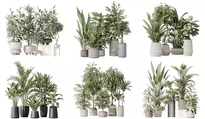 6 Different SETS of Plant Indoor SET VOL133