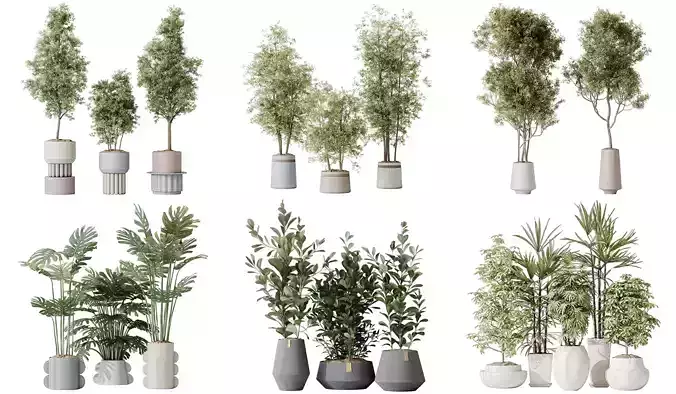 6 Different SETS of Plant Indoor SET VOL134 3D Model Collection