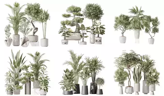 6 Different SETS of Plant Indoor SET VOL135