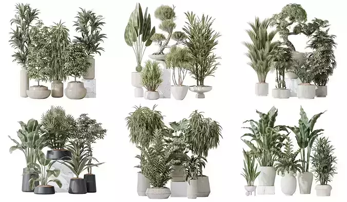 6 Different SETS of Plant Indoor SET VOL136