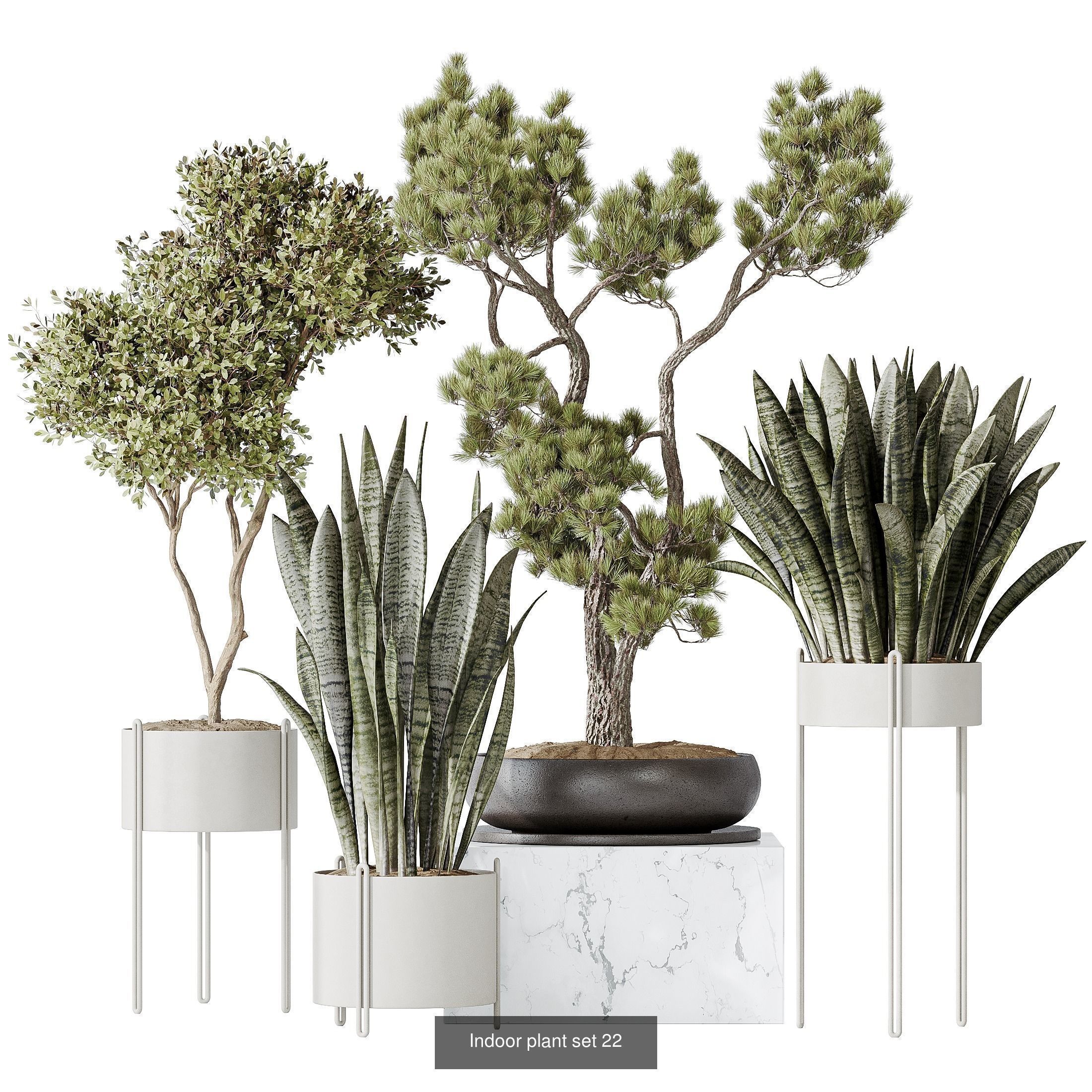 6 Different SETS of Plant Indoor SET VOL138 3D Model Collection_4