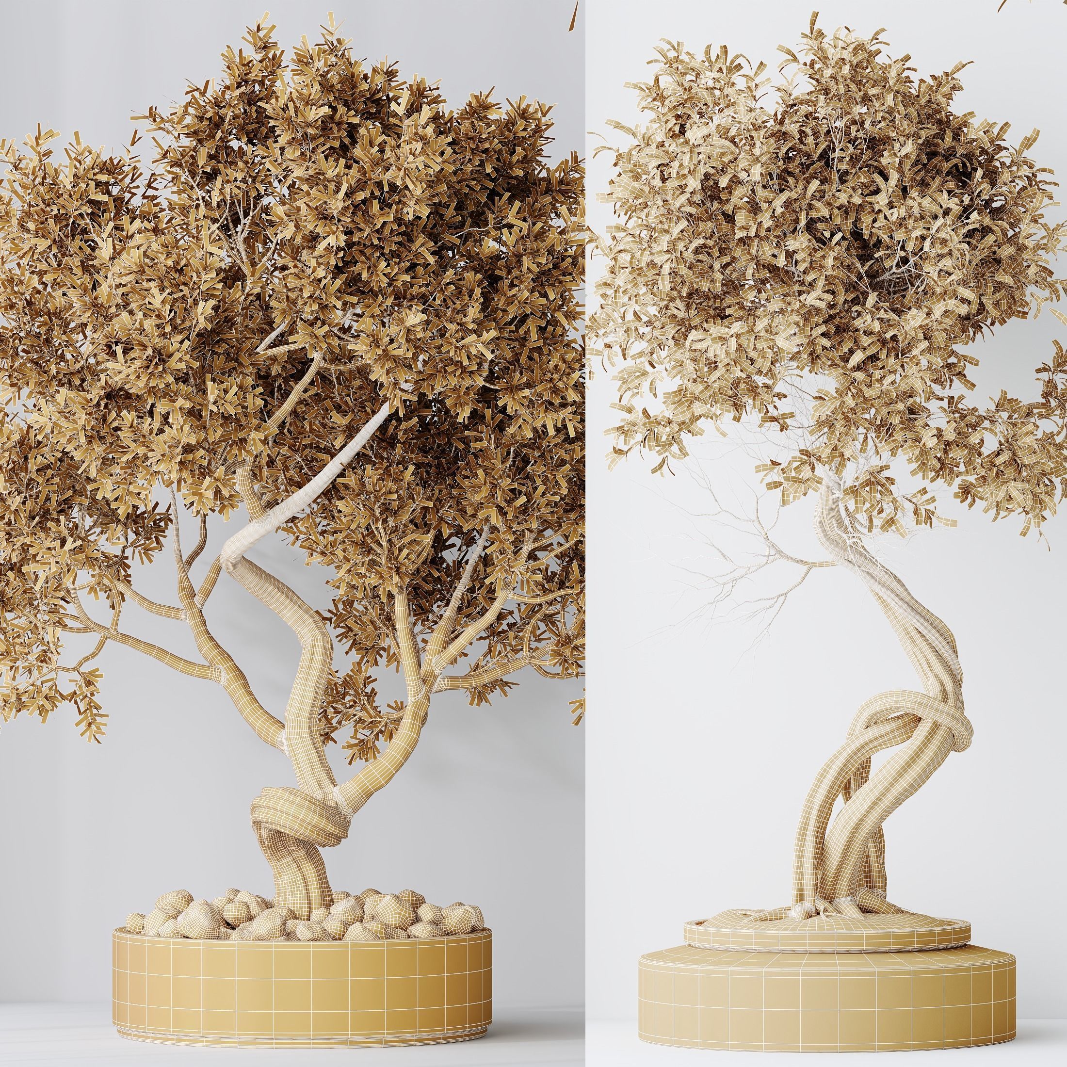 6 Different SETS of Plant Indoor SET VOL138 3D Model Collection_27