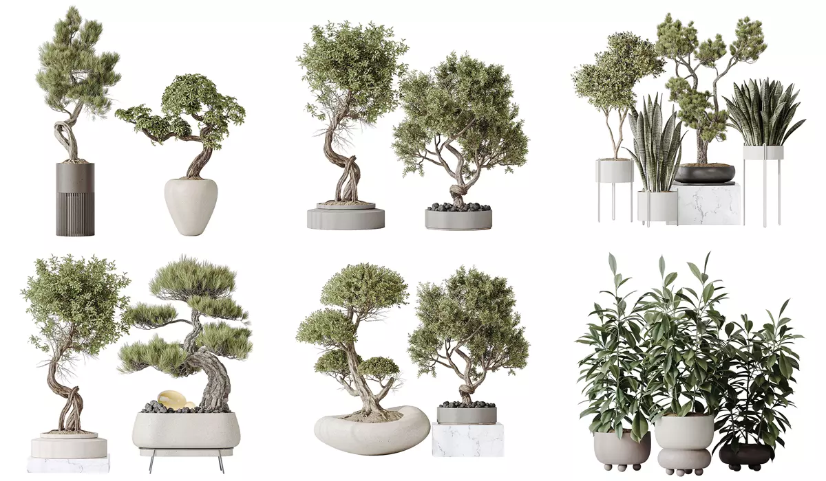 6 Different SETS of Plant Indoor SET VOL138 3D Model Collection_0