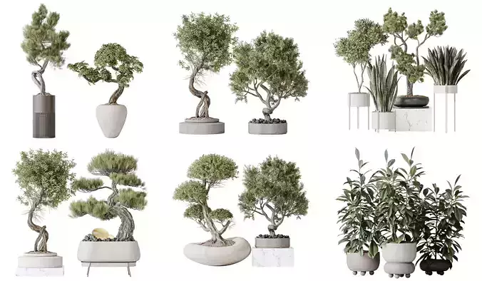 6 Different SETS of Plant Indoor SET VOL138
