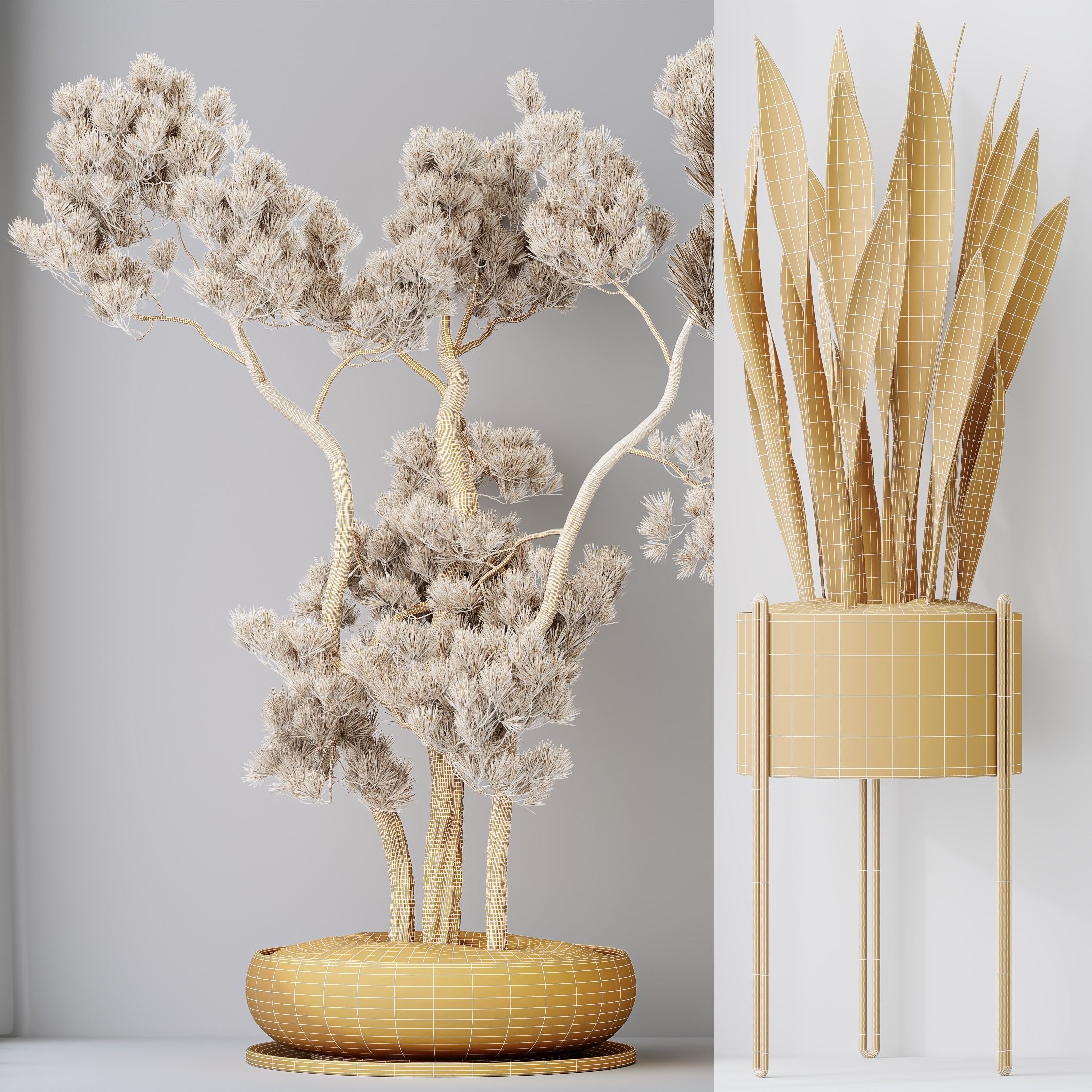 6 Different SETS of Plant Indoor SET VOL138 3D Model Collection_25