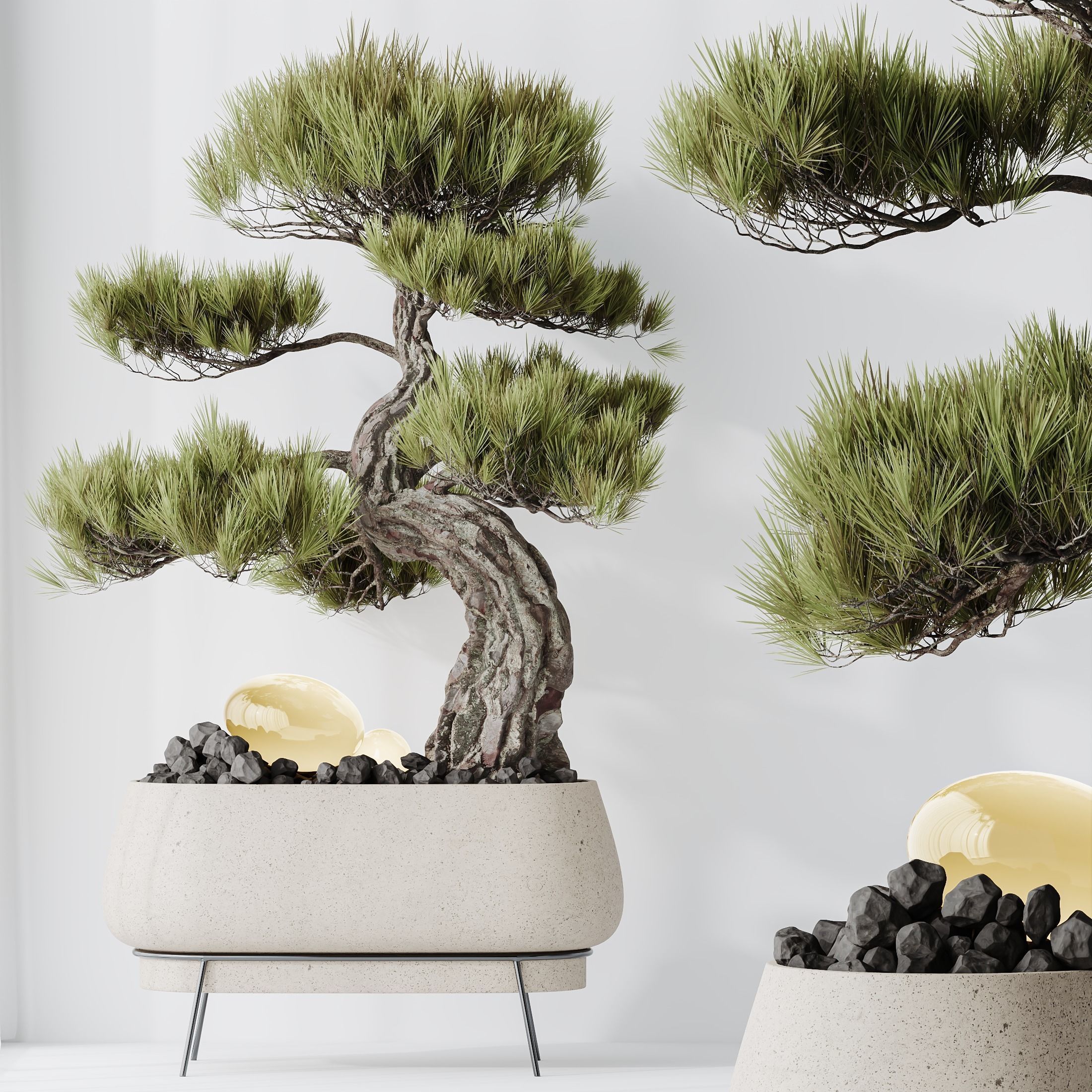 6 Different SETS of Plant Indoor SET VOL138 3D Model Collection_18