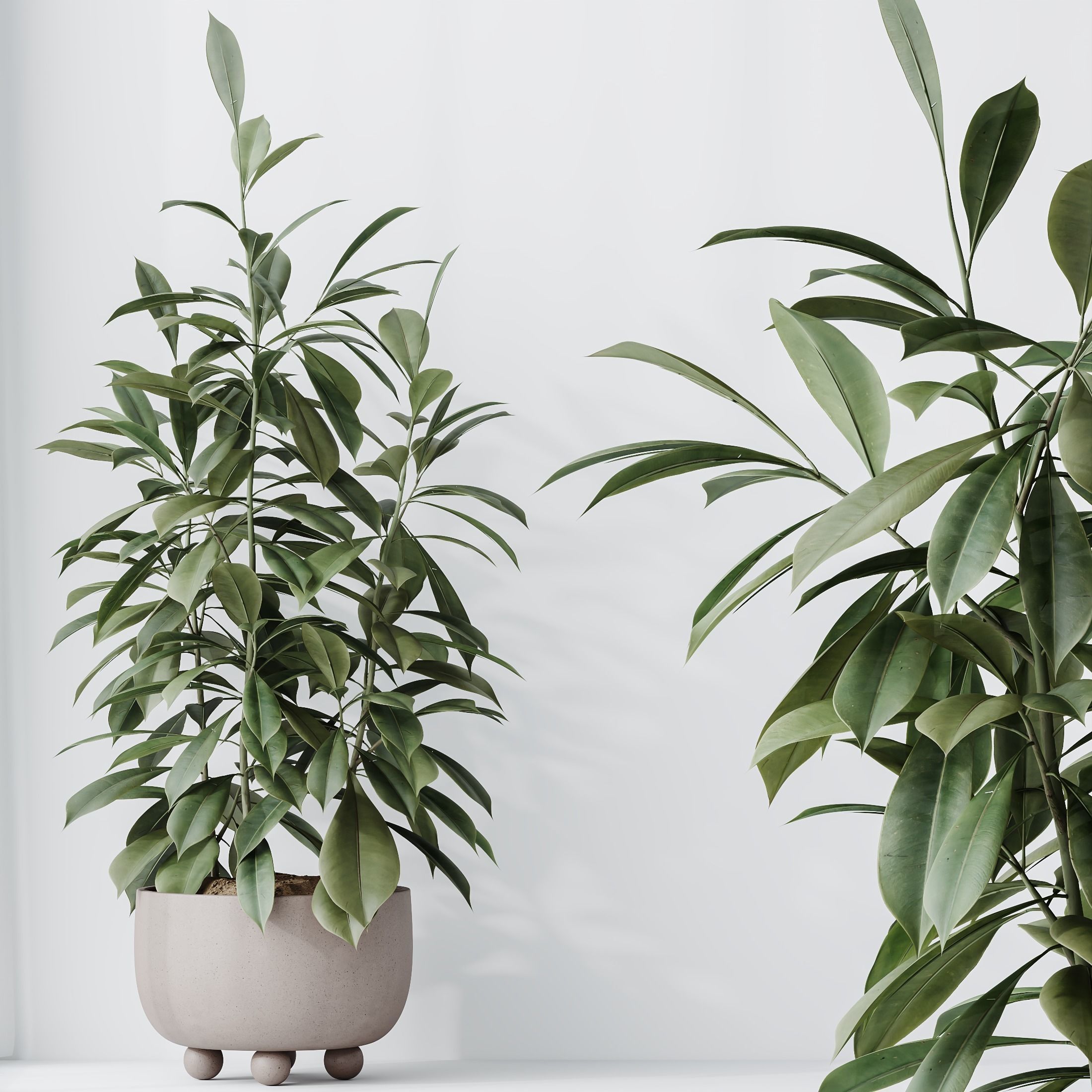 6 Different SETS of Plant Indoor SET VOL138 3D Model Collection_8