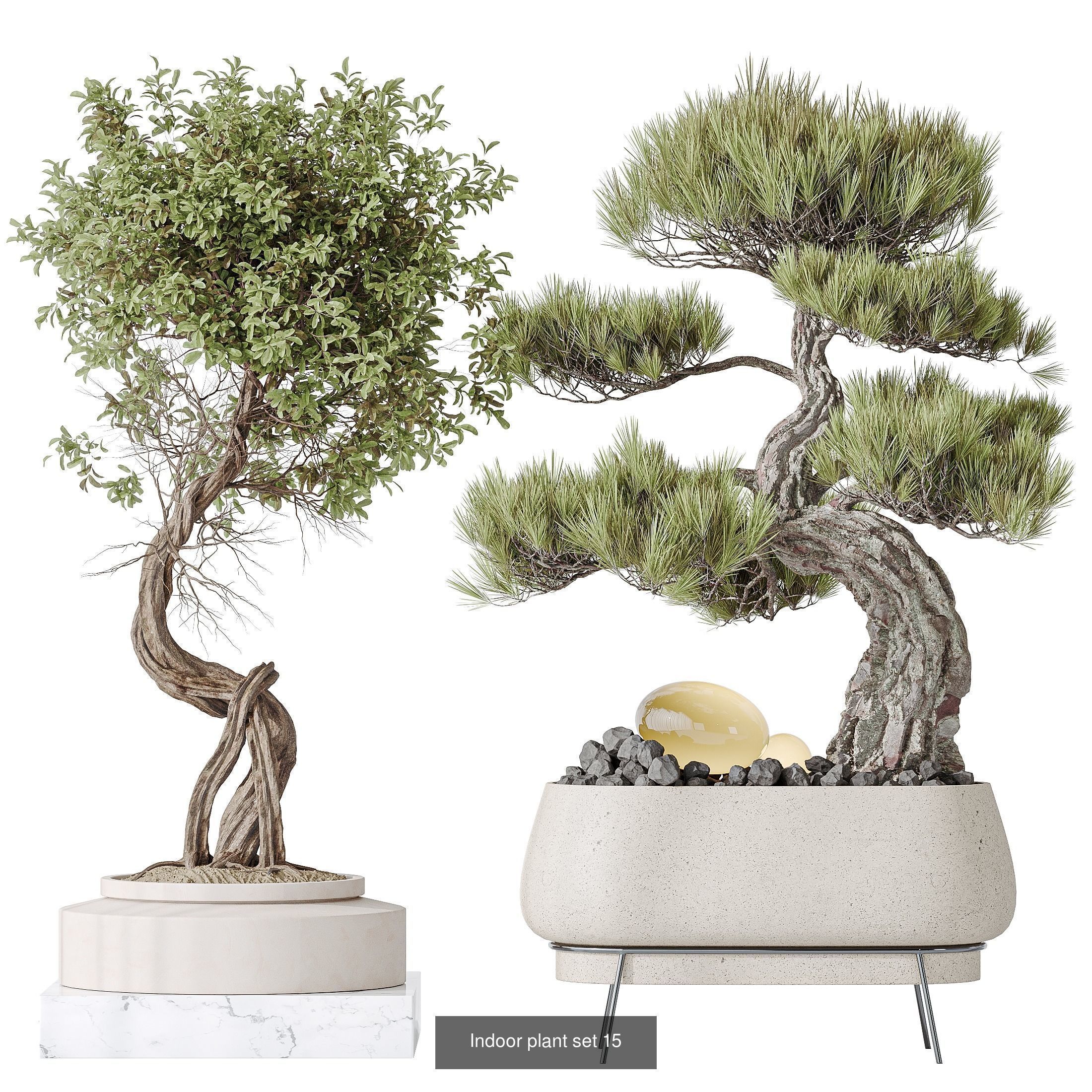 6 Different SETS of Plant Indoor SET VOL138 3D Model Collection_2