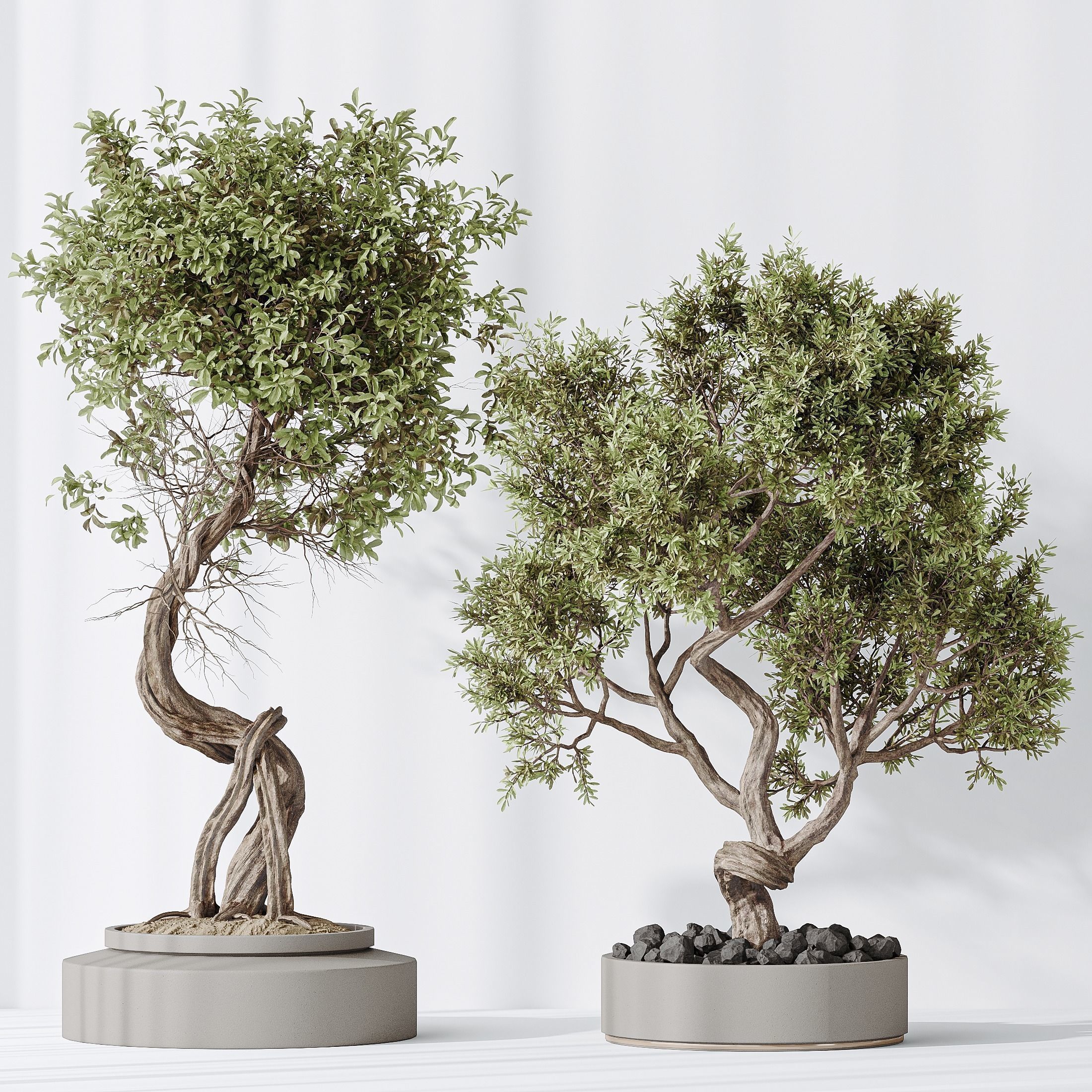 6 Different SETS of Plant Indoor SET VOL138 3D Model Collection_21