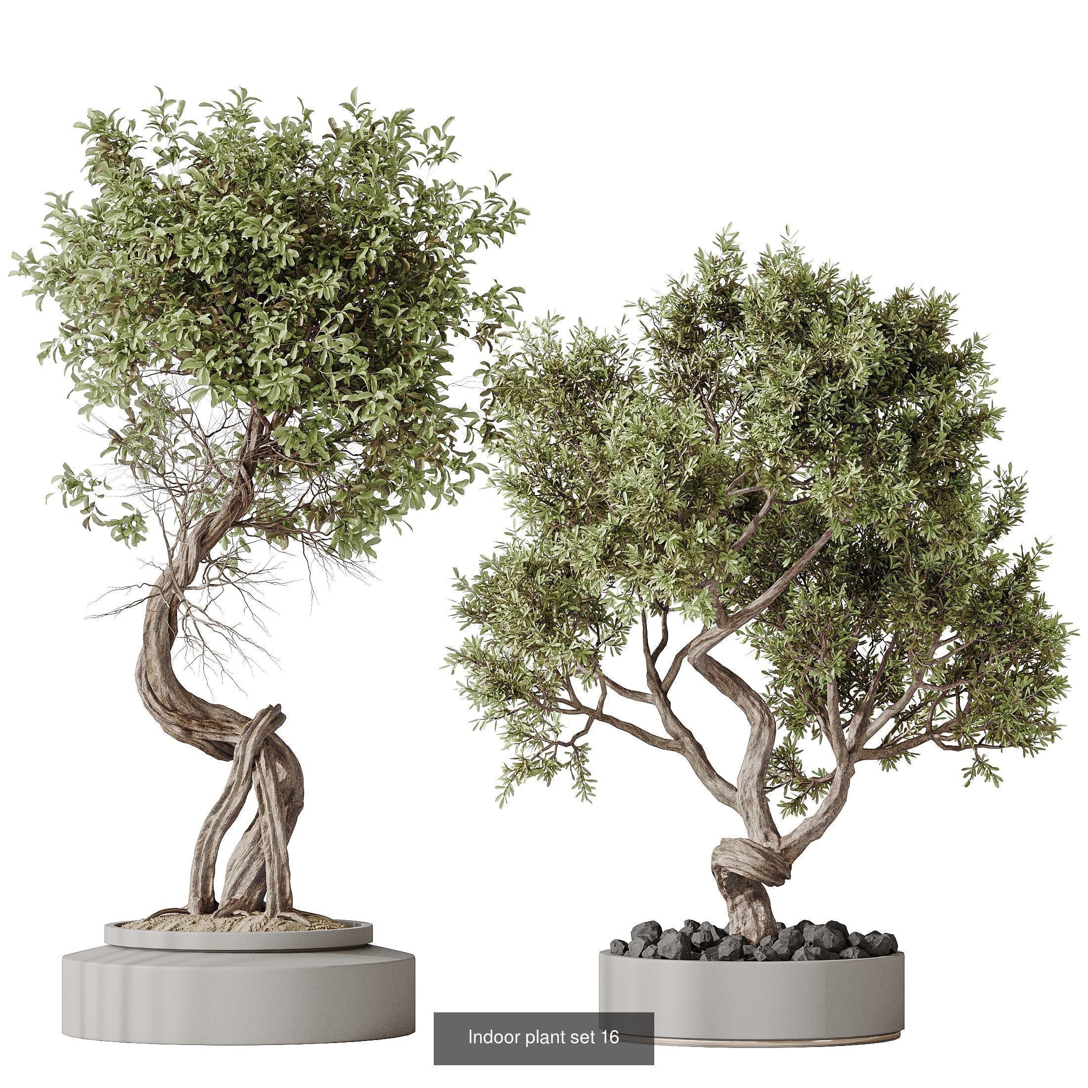 6 Different SETS of Plant Indoor SET VOL138 3D Model Collection_3