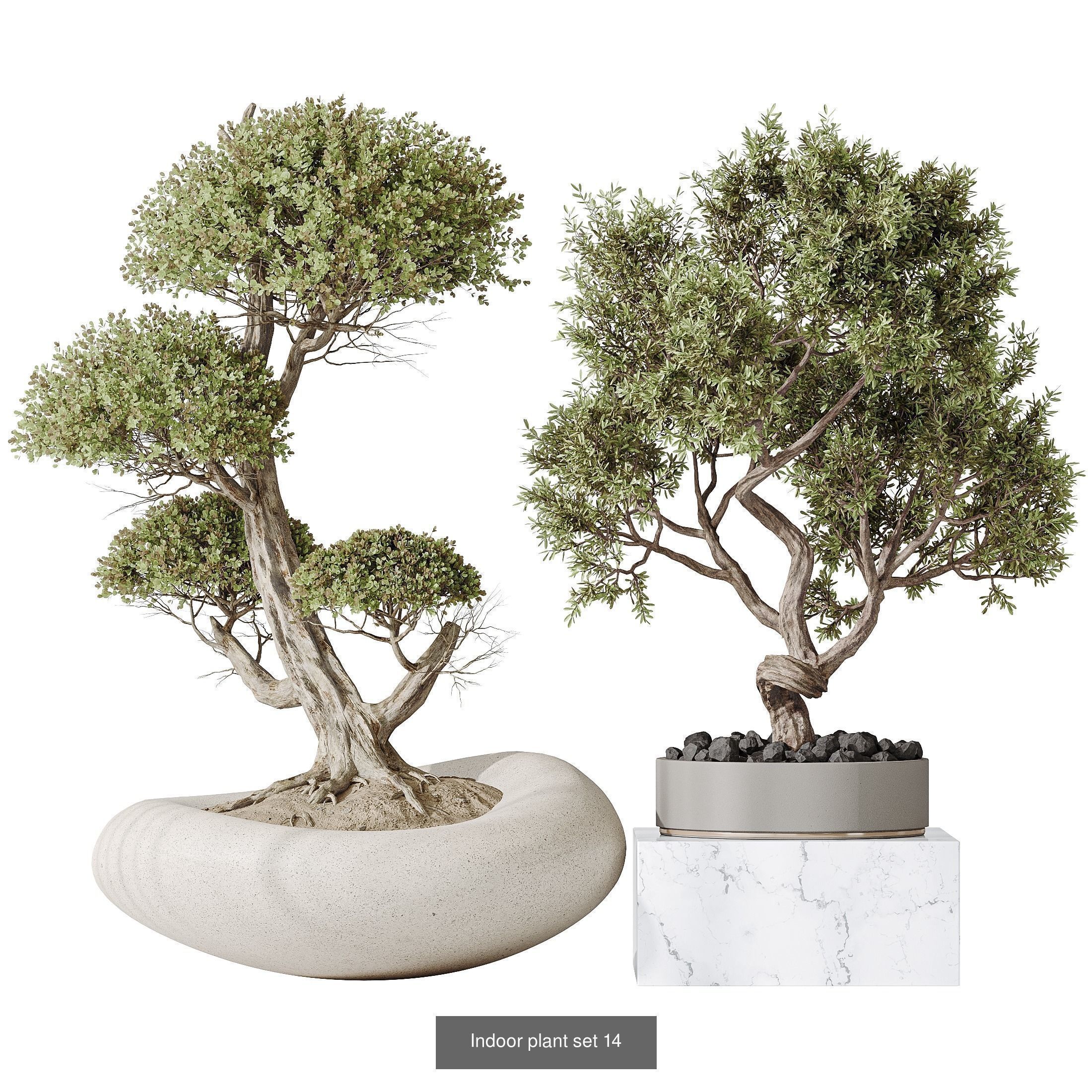 6 Different SETS of Plant Indoor SET VOL138 3D Model Collection_1