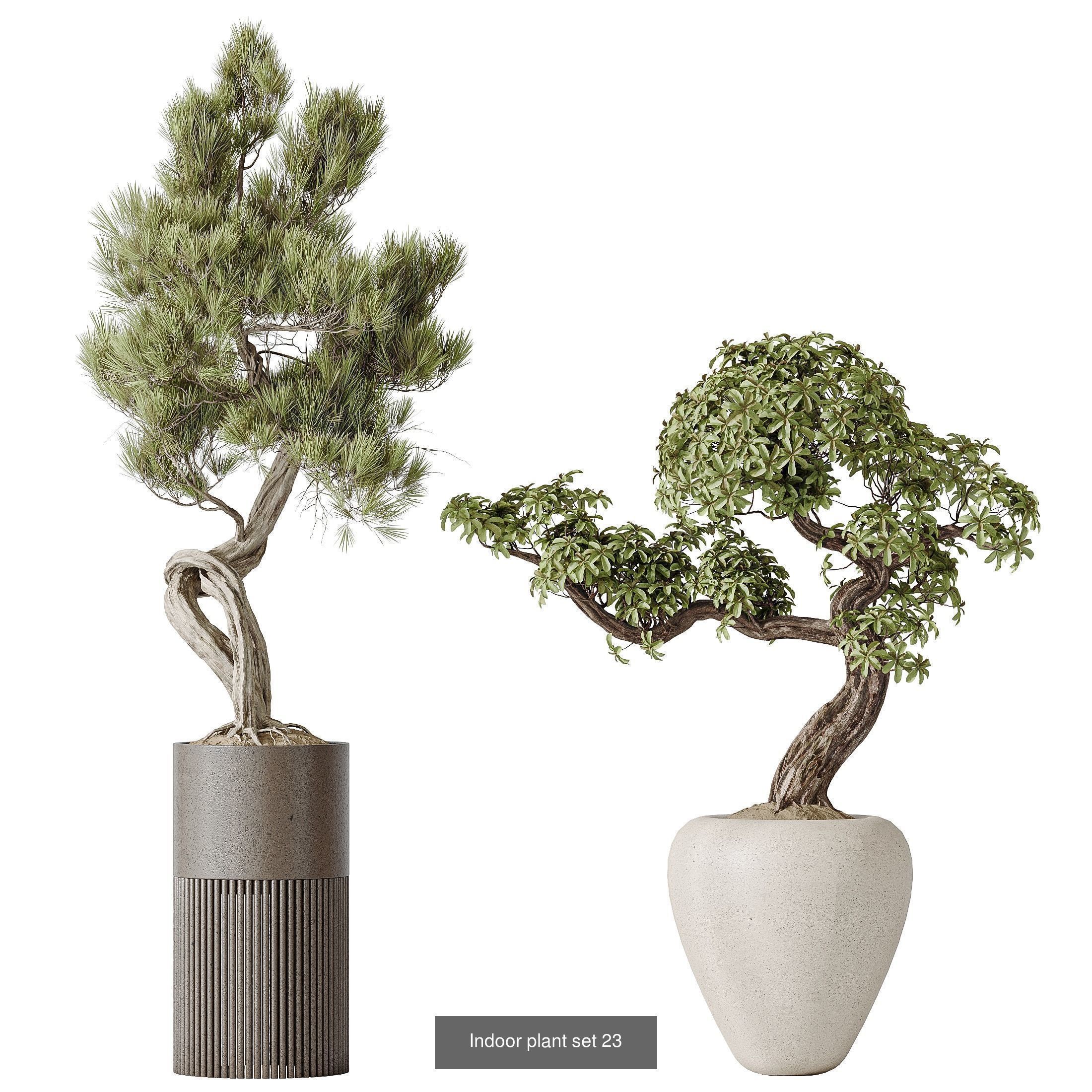 6 Different SETS of Plant Indoor SET VOL138 3D Model Collection_5