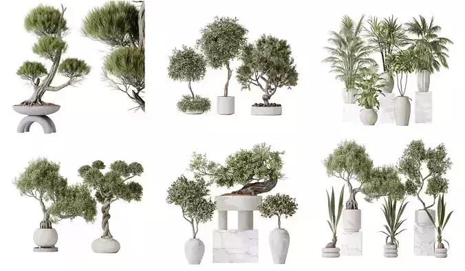 6 Different SETS of Plant Indoor SET VOL139 3D Model Collection