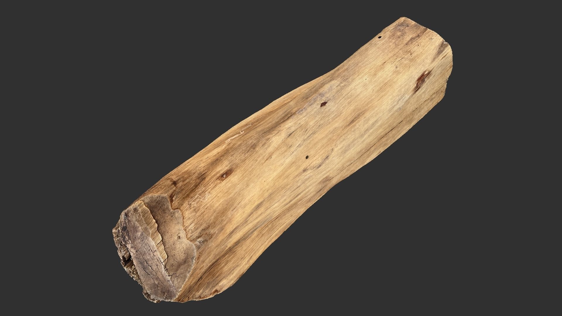3D Scan Realistic tree timber 3D model_3