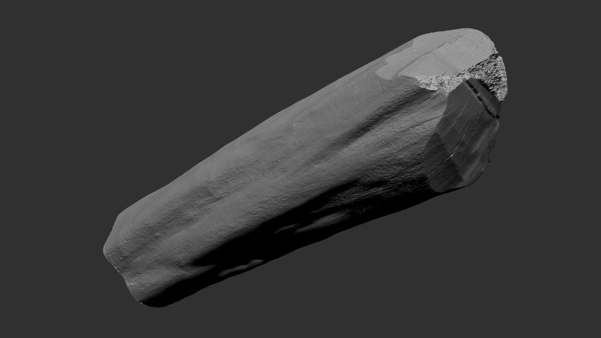 3D Scan Realistic tree timber 3D model_21