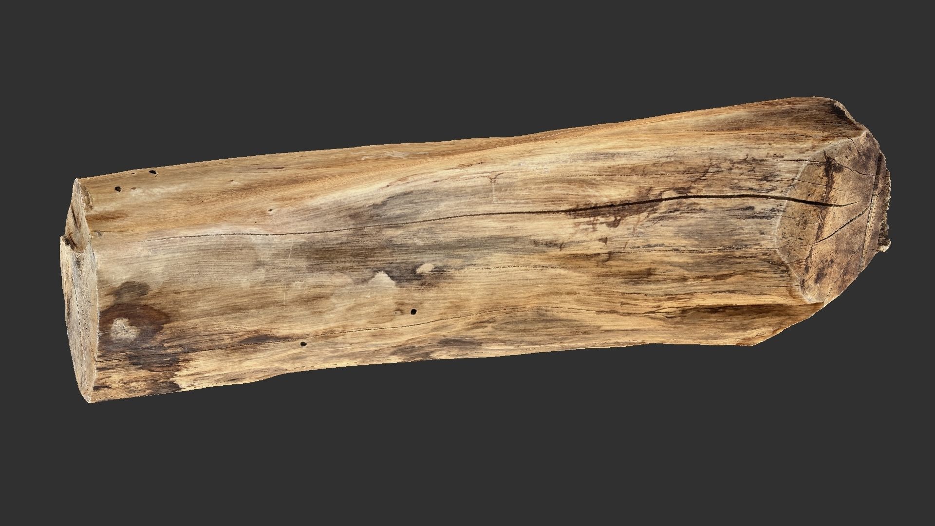 3D Scan Realistic tree timber 3D model_17