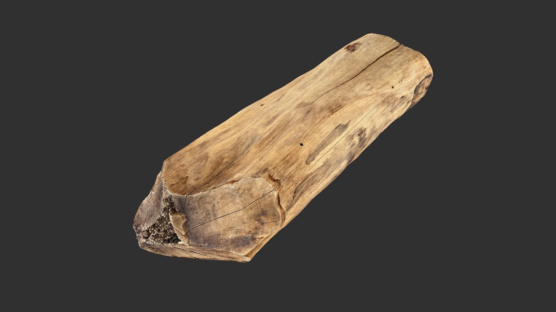 3D Scan Realistic tree timber 3D model_10