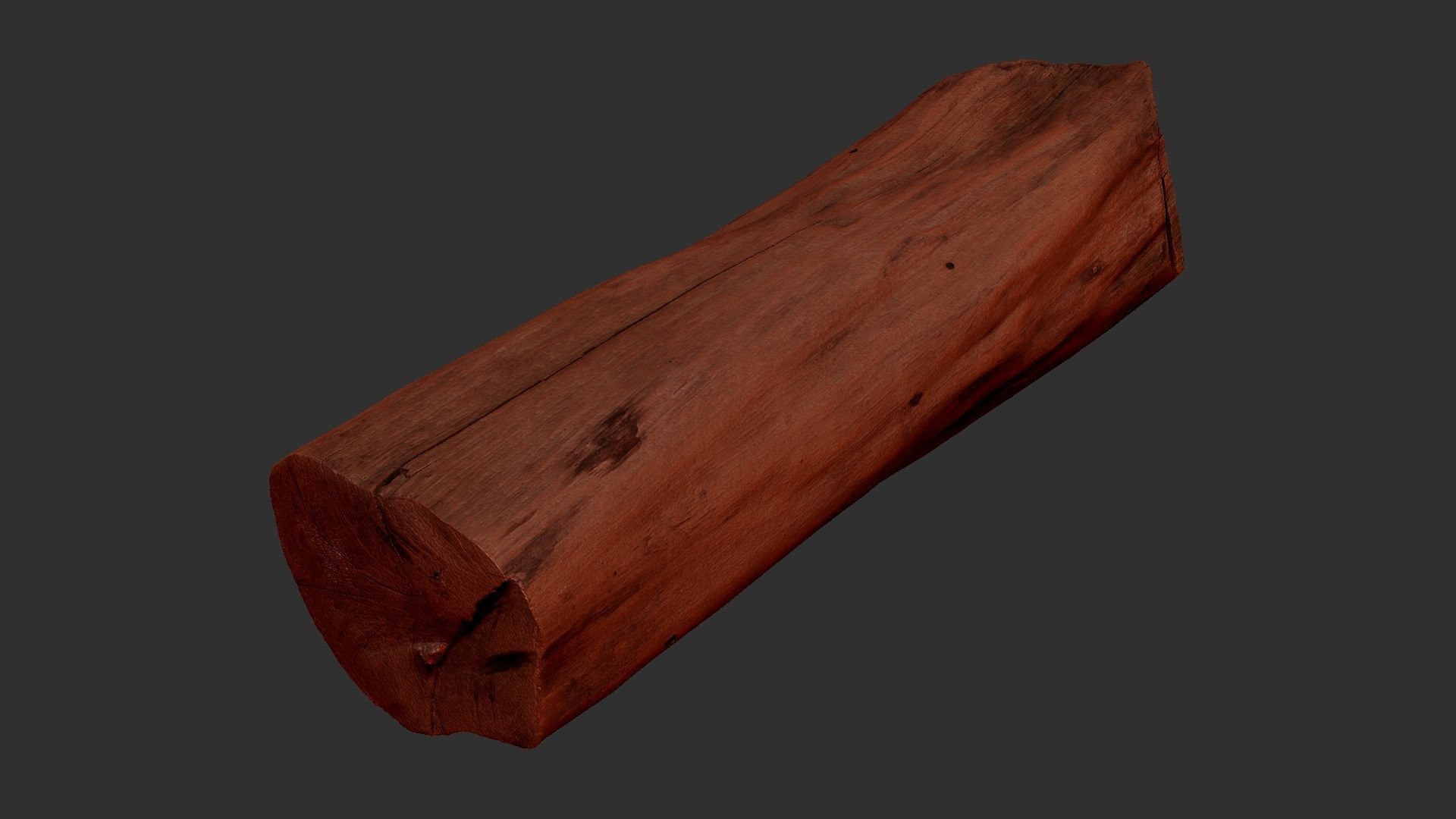 3D Scan Realistic tree timber 3D model_14