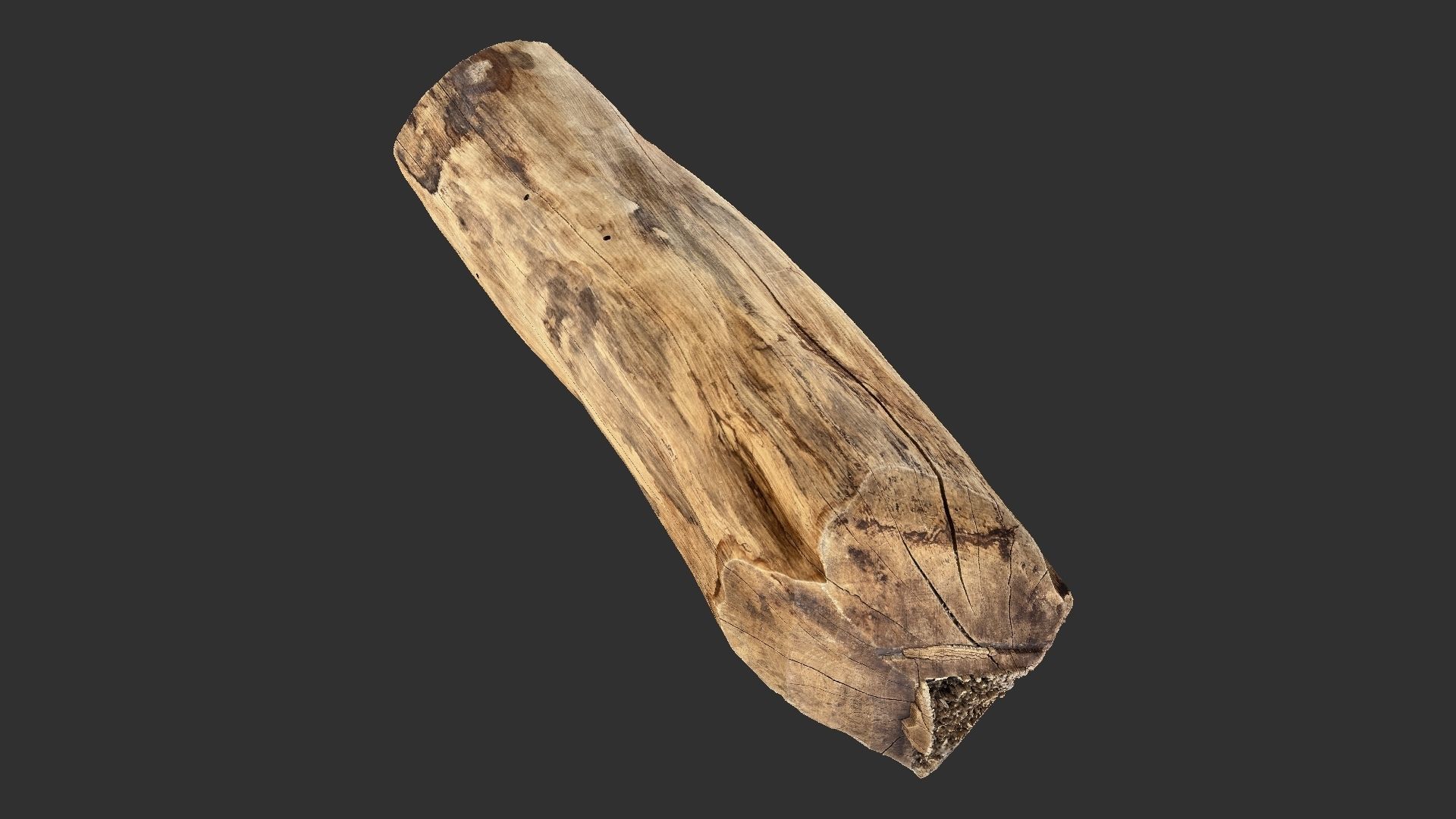 3D Scan Realistic tree timber 3D model_4