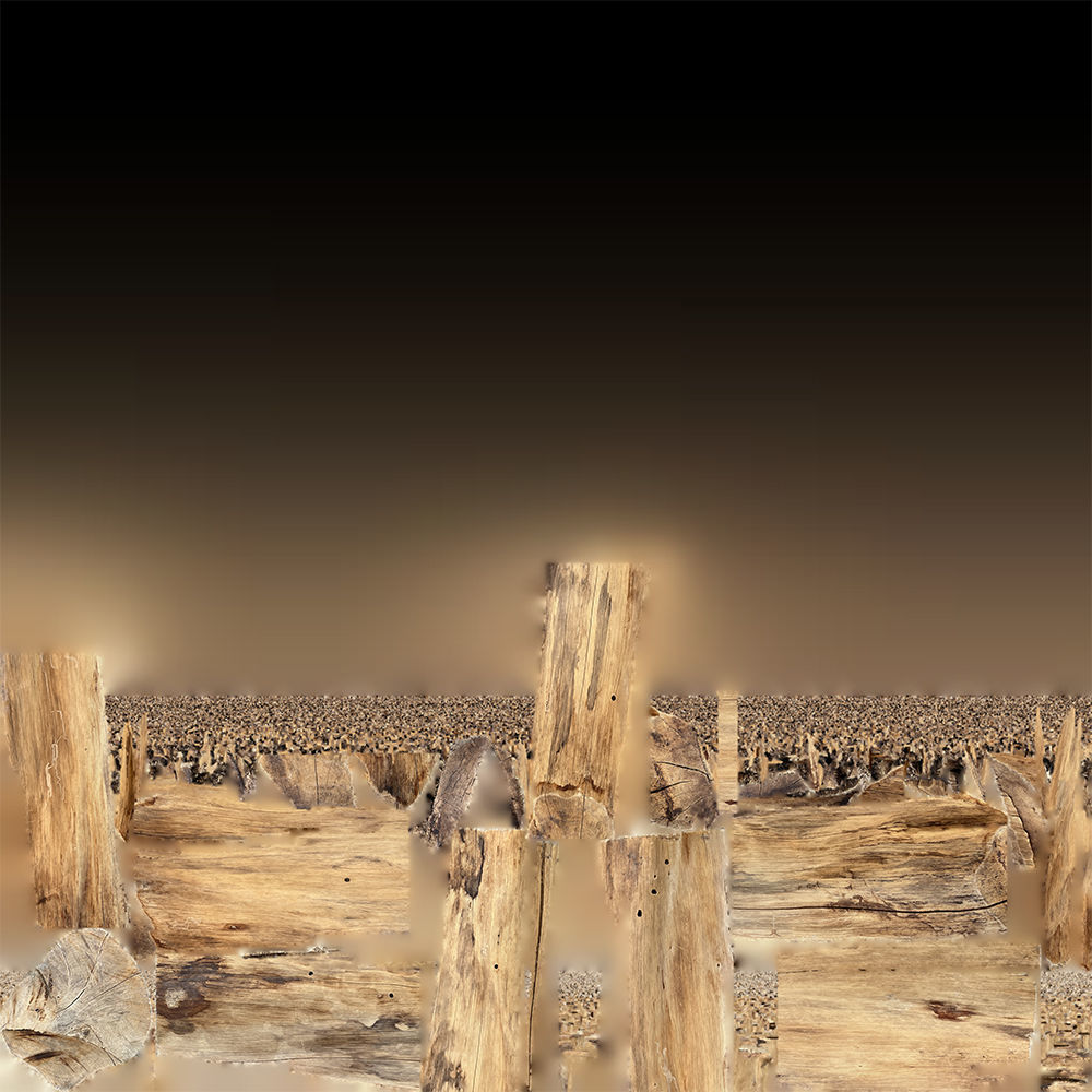 3D Scan Realistic tree timber 3D model_24