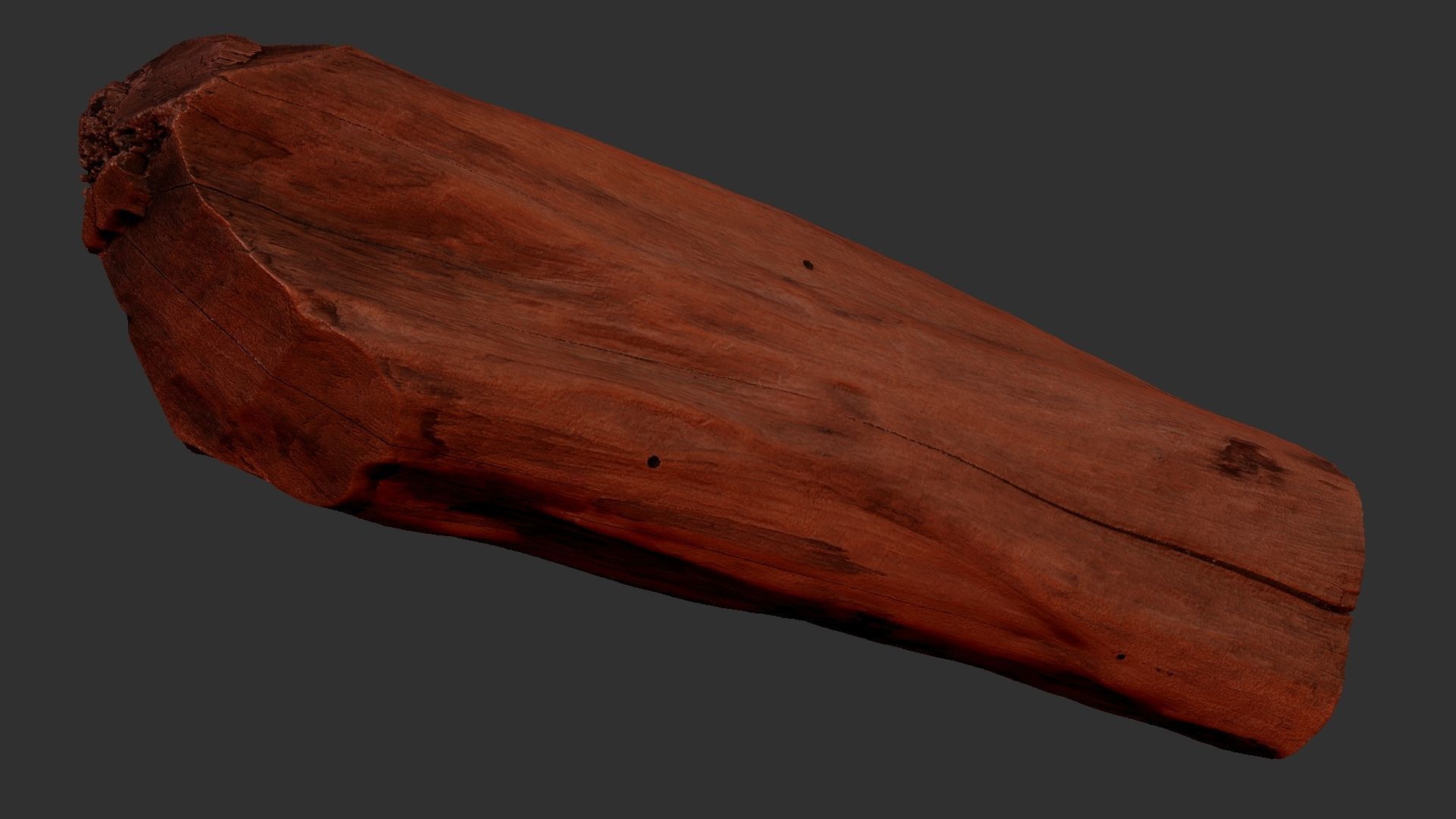 3D Scan Realistic tree timber 3D model_12