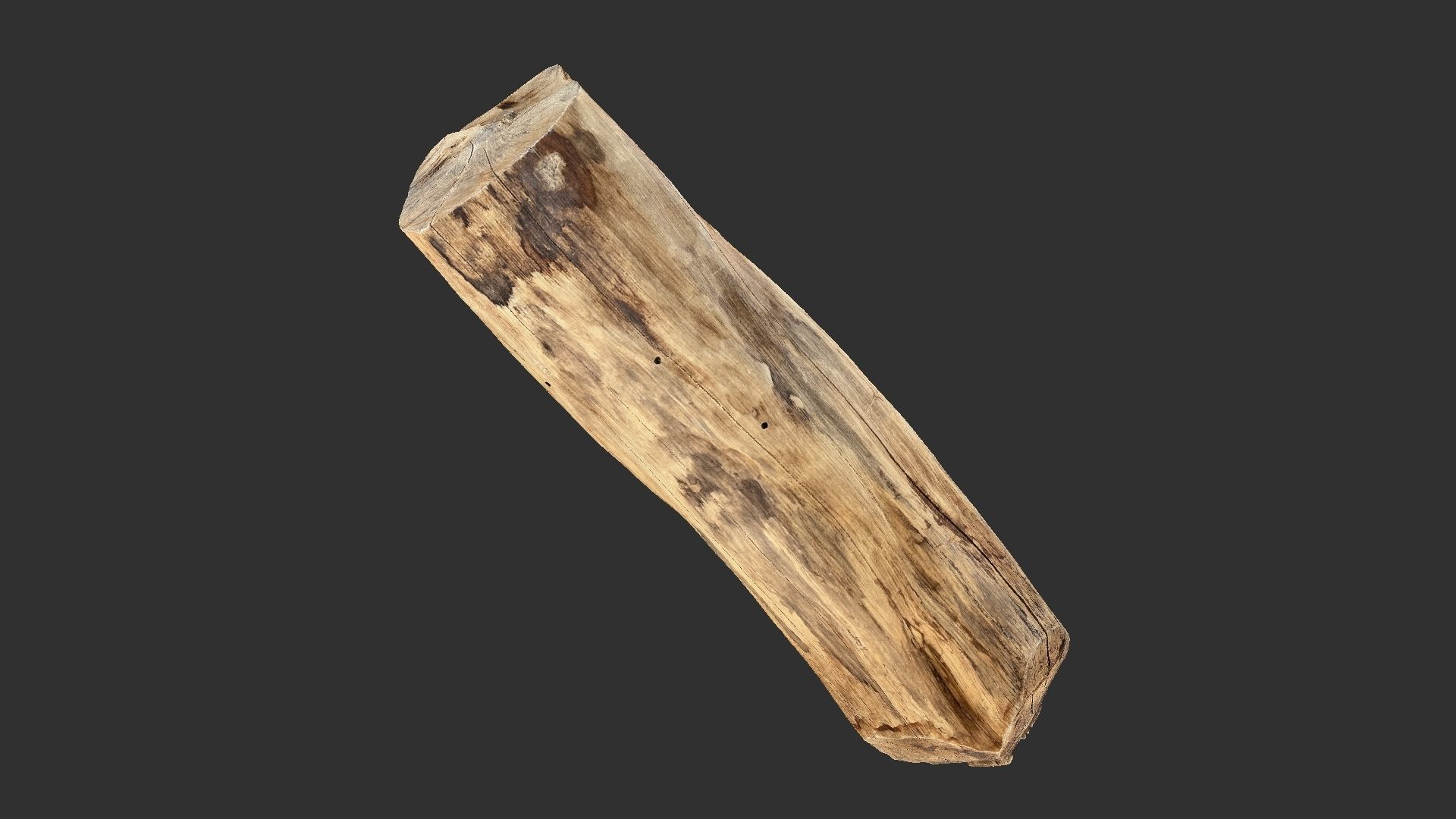 3D Scan Realistic tree timber 3D model_6