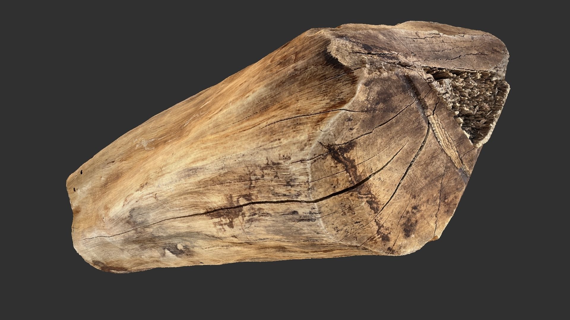 3D Scan Realistic tree timber 3D model_1