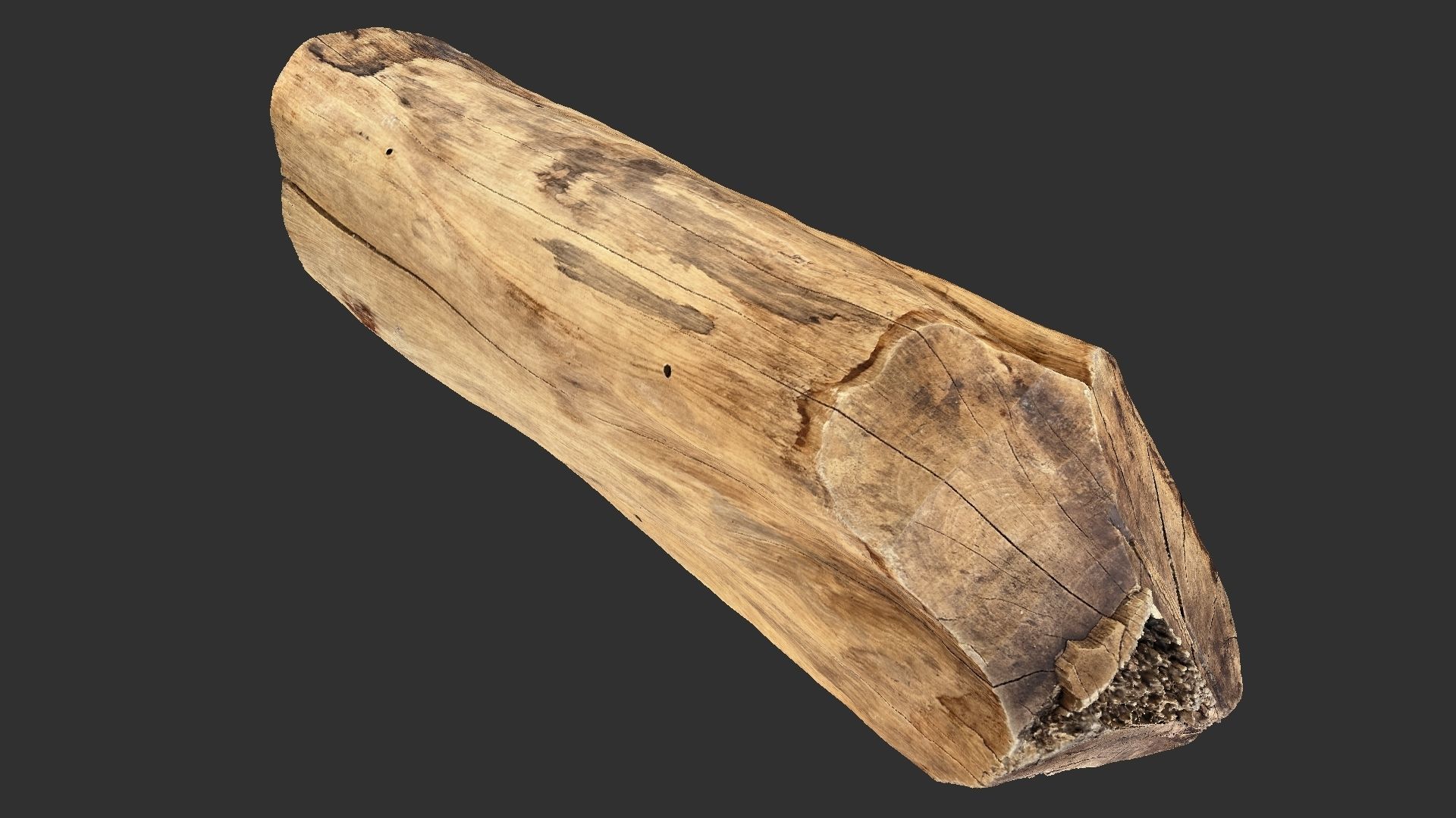 3D Scan Realistic tree timber 3D model_8