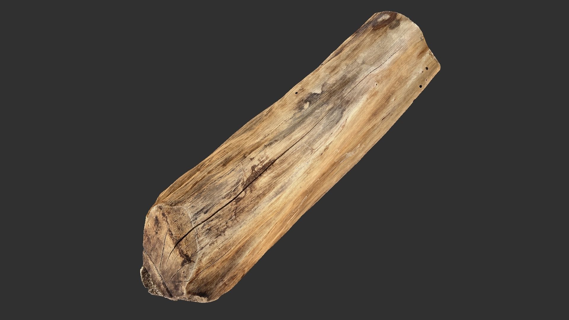 3D Scan Realistic tree timber 3D model_7