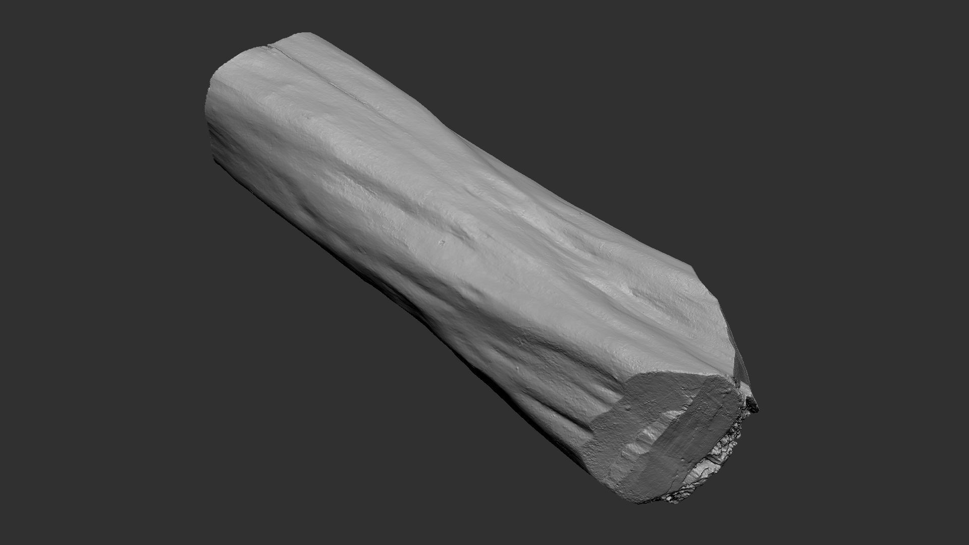 3D Scan Realistic tree timber 3D model_19