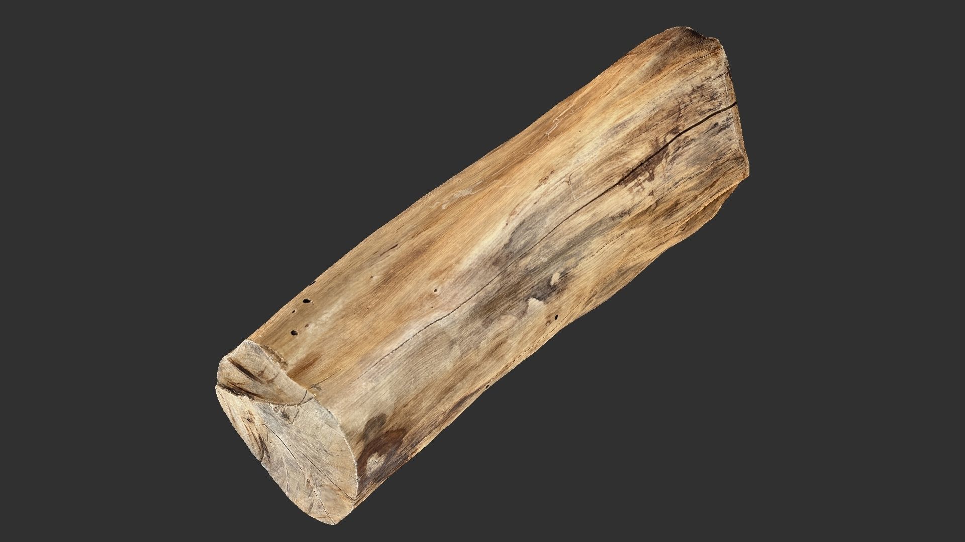 3D Scan Realistic tree timber 3D model_5