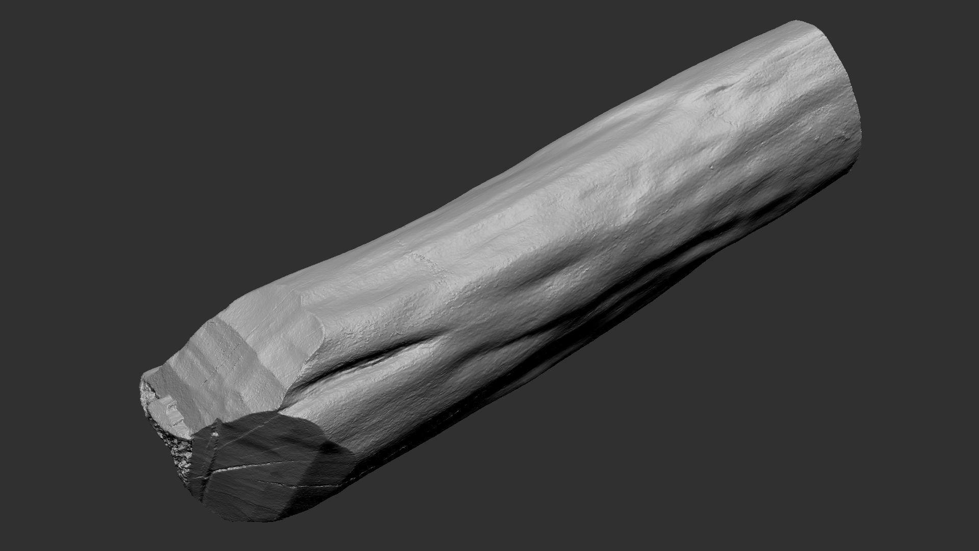 3D Scan Realistic tree timber 3D model_20