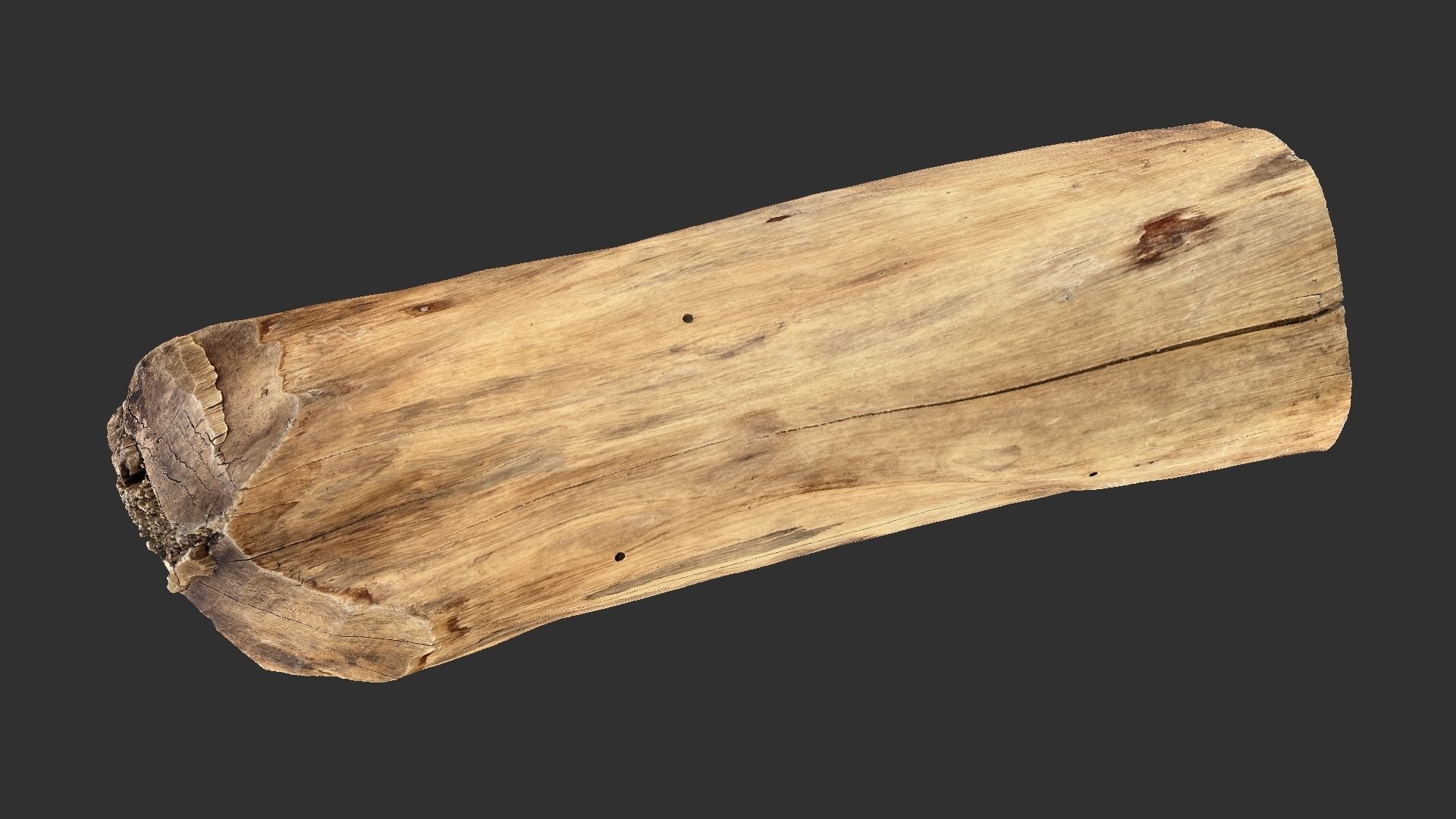 3D Scan Realistic tree timber 3D model_16