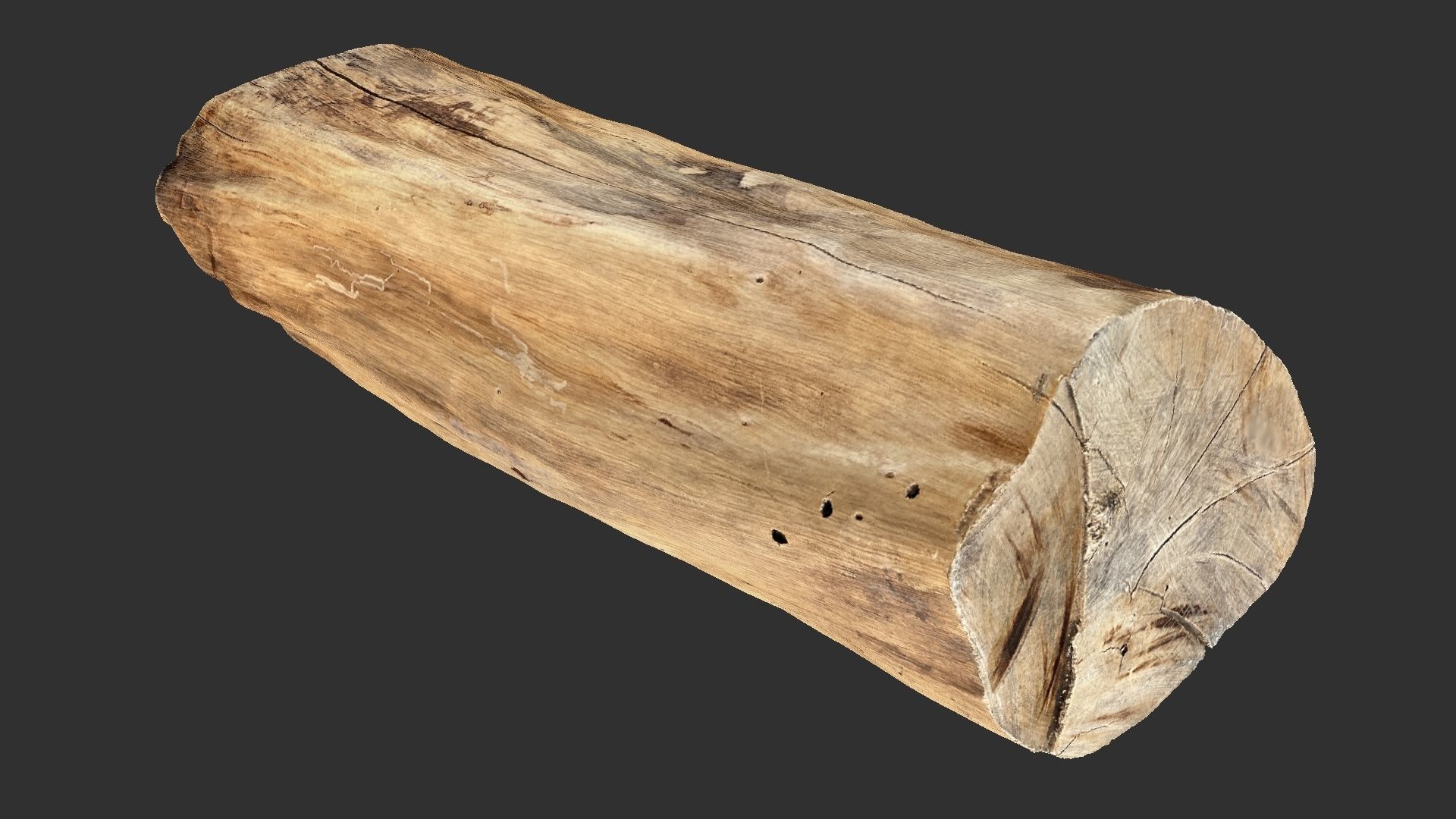 3D Scan Realistic tree timber 3D model_9