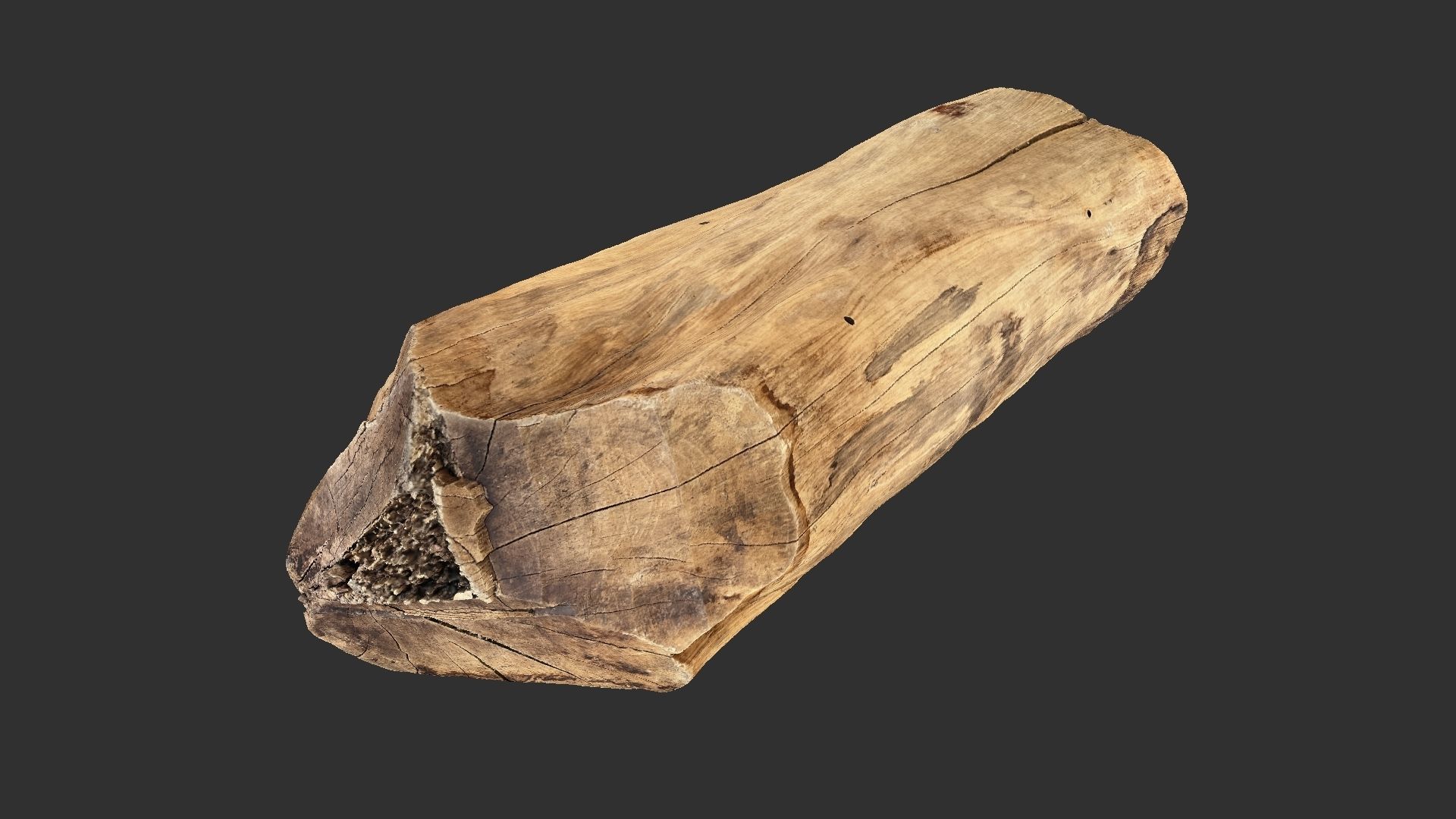 3D Scan Realistic tree timber 3D model_18