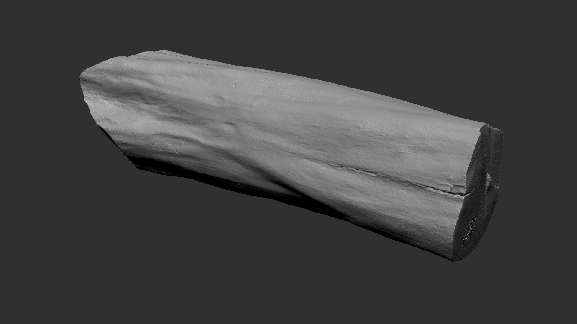 3D Scan Realistic tree timber 3D model_22