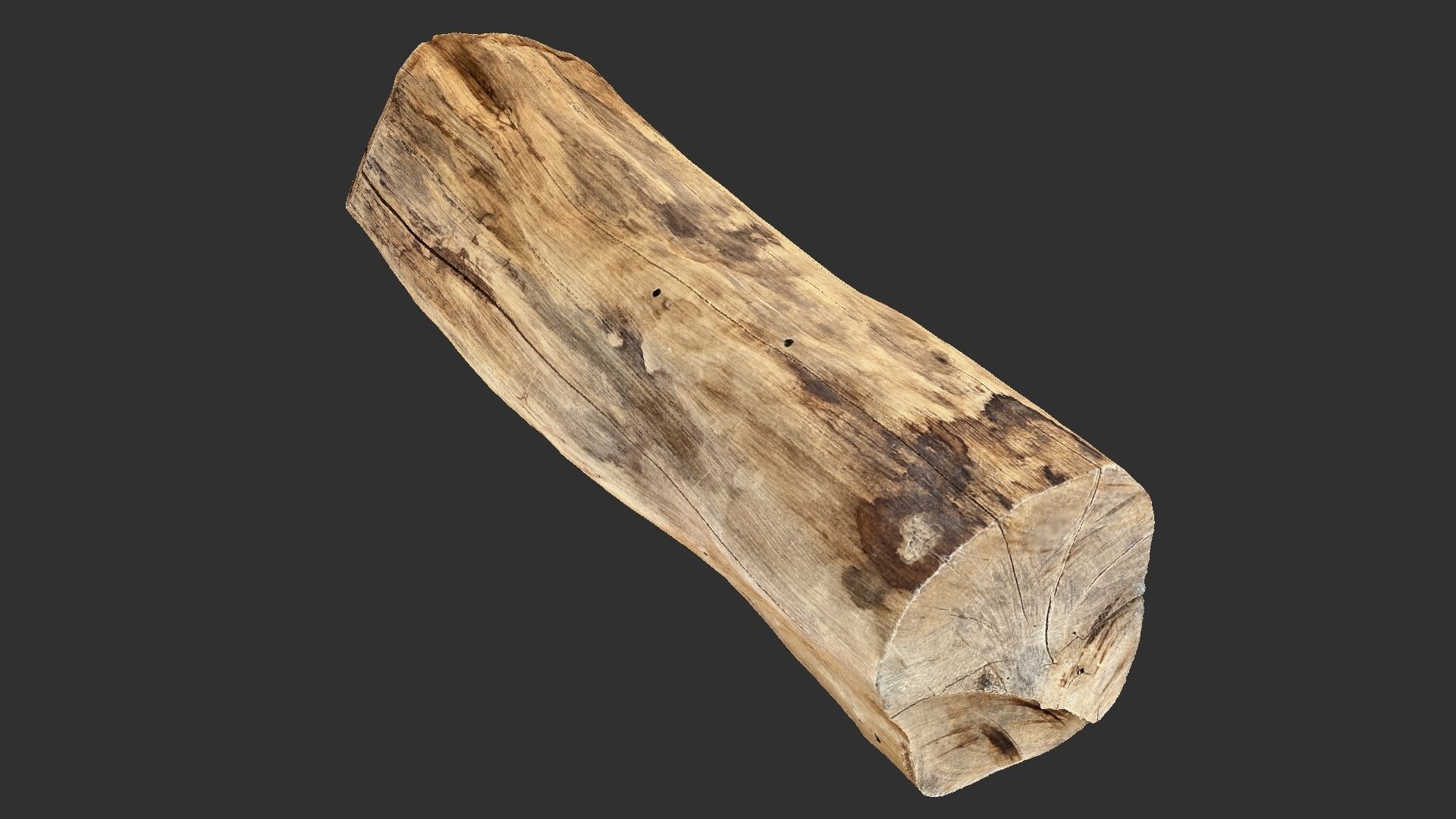 3D Scan Realistic tree timber 3D model_2