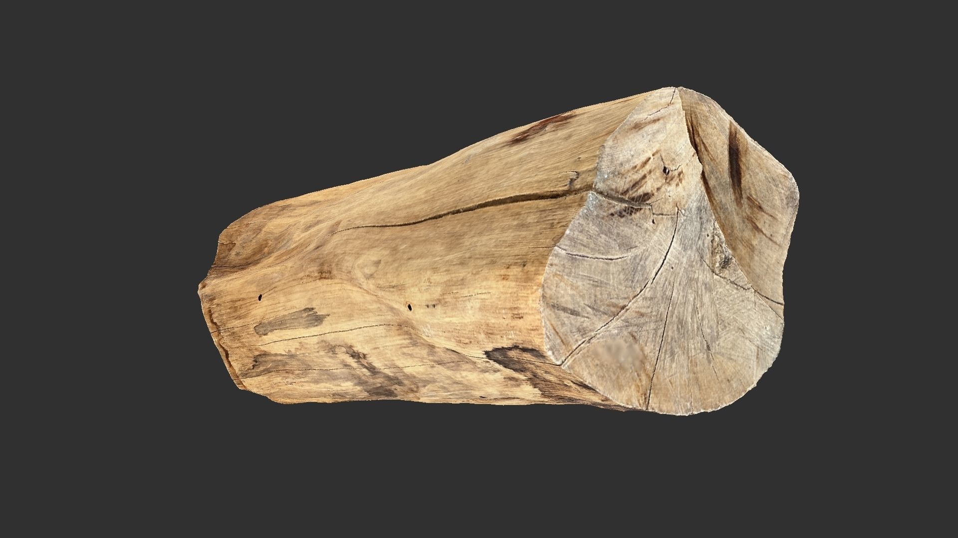 3D Scan Realistic tree timber 3D model_15